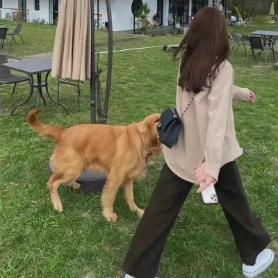 方法派