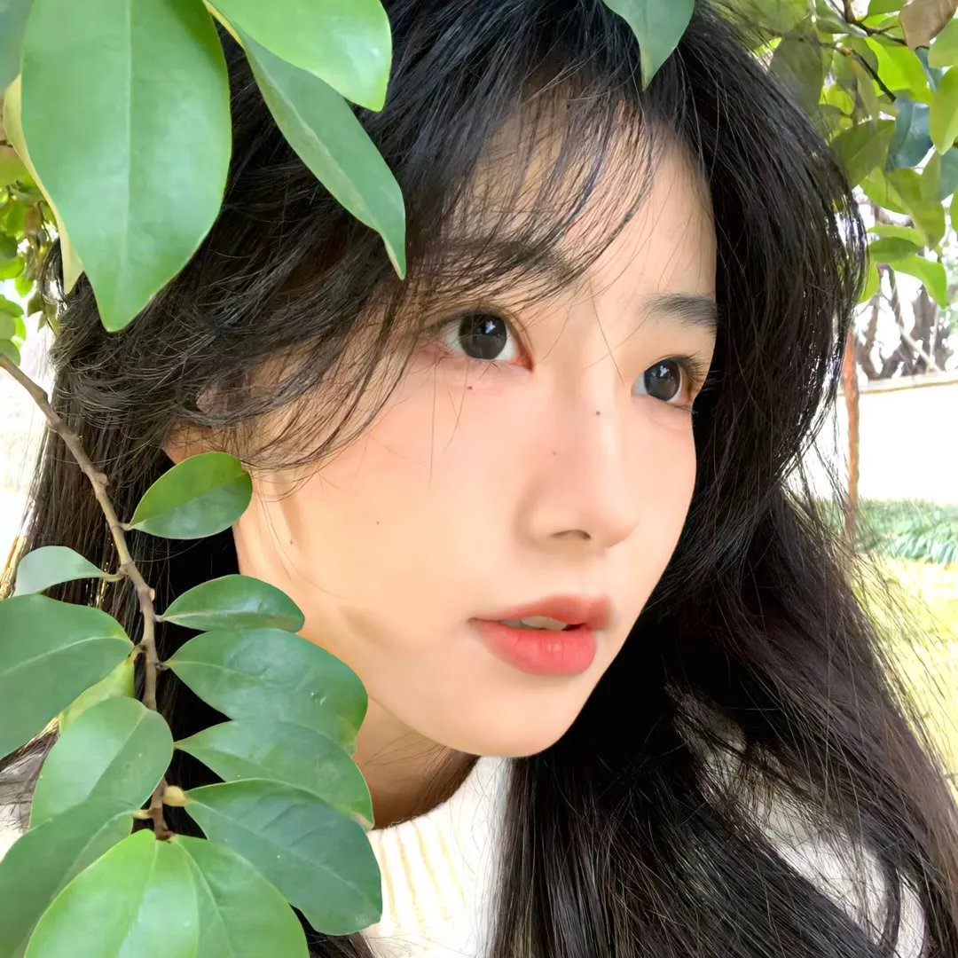 飞吧,小鹿
